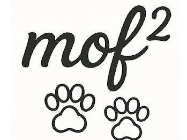 ハイクオリティー Tシャツ犬 おしゃれ < 男性ファッション ハイクオリティー Tシャツ犬 おしゃれ < 男性ファッションの