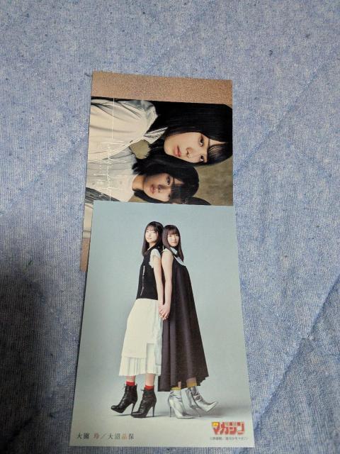 櫻坂ポストカード二枚 < ホビー 櫻坂ポストカード二枚 < ホビーの