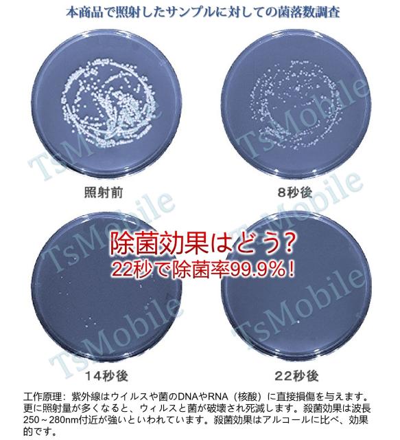 ܂ UVCۊ OEۓ Cg E  Ri΍  LbY/xr[ 