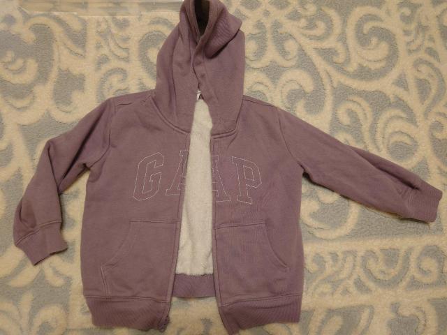 GAP t[X t[htp[J[p[v120TCY   LbY/xr[ 