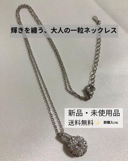 ꗱ@WRjA@lbNX@Vo[@@iANZ@   ANZT[/v 