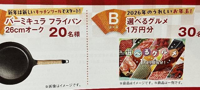 ����ׂ�O����1���~/�o�[�~�L�����t���C�p��/200���l5��  �� �`�P�b�g/������ 