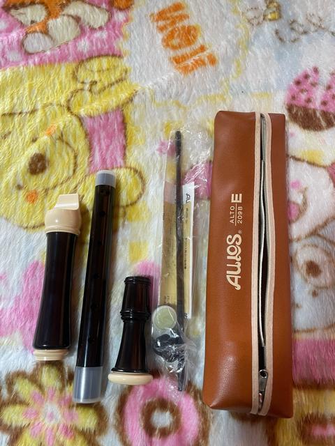 �A���g���R�[�_�[  �� �z�r�[�� 