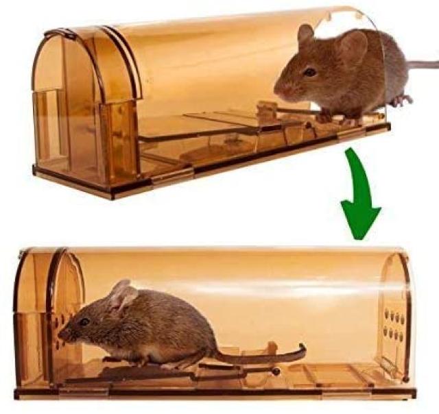 ˂݂Ƃ lY~ߊl lY~ ˂ݕߊl  ybg/|/| 