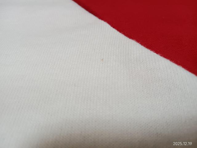 SOFFE SHIRTS ラグランスリーブ Tシャツ YOUTH LARGE < 男性ファッション SOFFE SHIRTS ラグランスリーブ Tシャツ YOUTH LARGE < 男性ファッションの