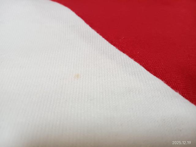 SOFFE SHIRTS ラグランスリーブ Tシャツ YOUTH LARGE < 男性ファッション SOFFE SHIRTS ラグランスリーブ Tシャツ YOUTH LARGE < 男性ファッションの