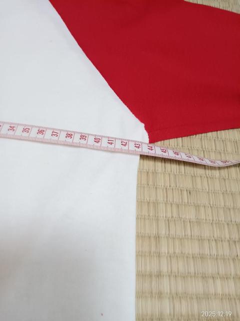 SOFFE SHIRTS ラグランスリーブ Tシャツ YOUTH LARGE < 男性ファッション SOFFE SHIRTS ラグランスリーブ Tシャツ YOUTH LARGE < 男性ファッションの