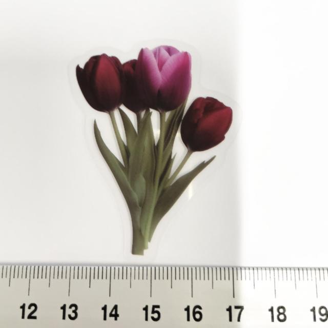 ���X�g��`���[���b�v�̃R���[�W���V�[���@397  �� �C���e���A/���C�t�� 