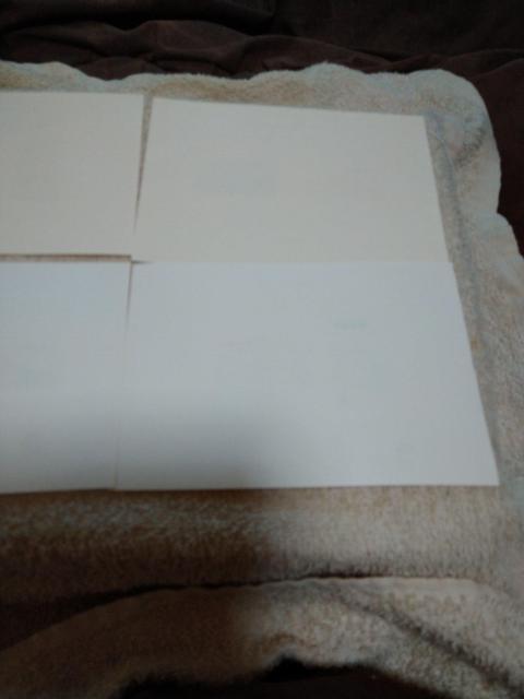 �P�����������V���[�Y�����^�V�[�g�����g�p�i �� �z�r�[�� 