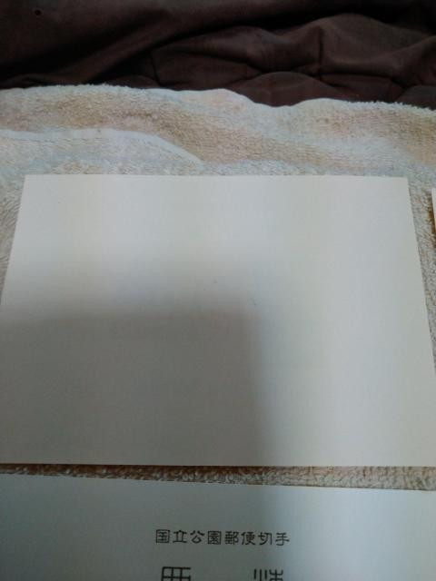 �P�����������V���[�Y�����^�V�[�g�����g�p�i �� �z�r�[�� 