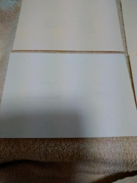 �P�����������V���[�Y�����^�V�[�g�����g�p�i �� �z�r�[�� 