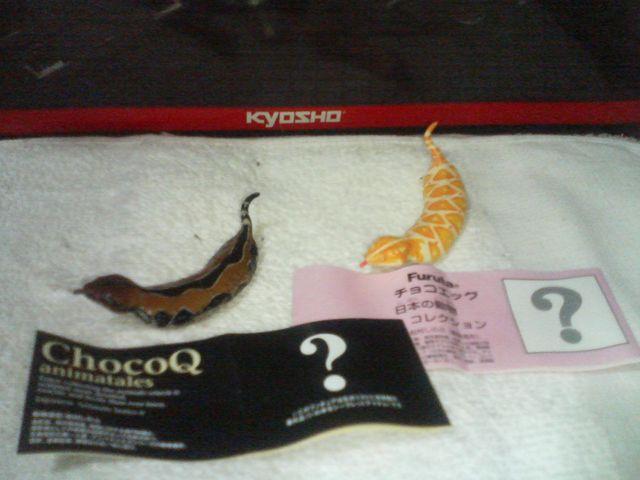 `RQ6 & NVbNSP Arm     @ c`mR V[Nbg   zr[ 