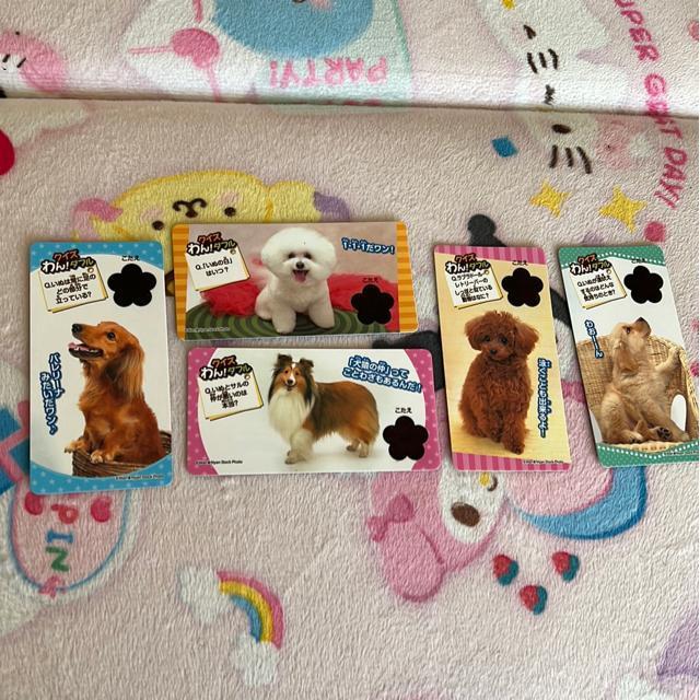 わんこカード(5枚セット) < おもちゃ  わんこカード(5枚セット)  < おもちゃの