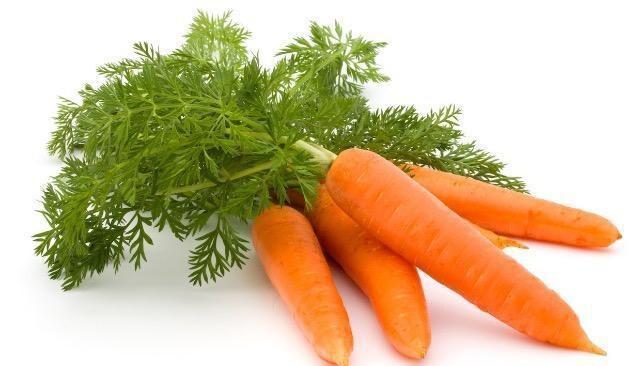 甘くて美味しい、大根と人参の抜き苗30株+季節の種セット+選べる粗品+匿名送料無料です\(^o^)/ < ペット/手芸/園芸  甘くて美味しい、大根と人参の抜き苗30株+季節の種セット+選べる粗品+匿名送料無料です\(^o^)/  < ペット/手芸/園芸の