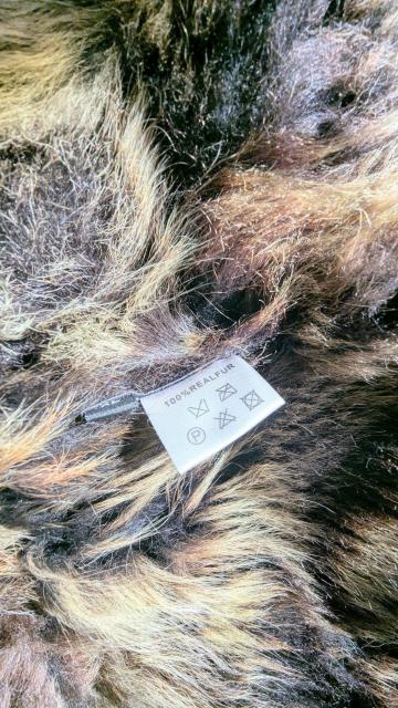 Ôi r U[ ~ t@[R[g  t@bV 