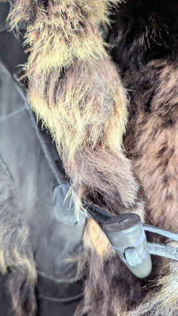 Ôi r U[ ~ t@[R[g  t@bV 