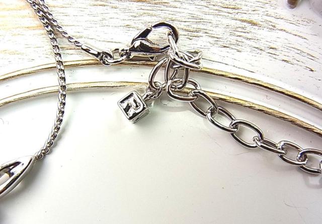 AKiNINA@RICH@jib`@t[@CXg[lbNX