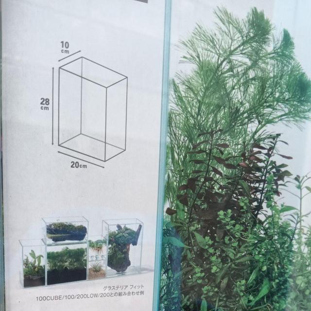 GEX�@�O���X�e���A�@�t�B�b�g200H�@���g�p�V�i �� �y�b�g/��|/���|�� 