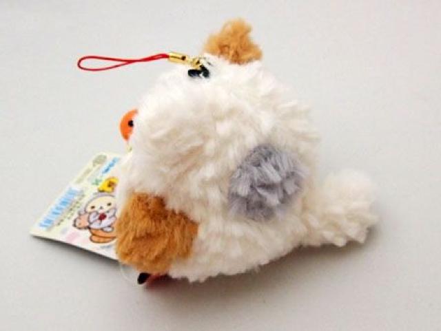 sNewtLCCg{[`F[XgbvRtÊтlR*}XRbg/L[z_[   