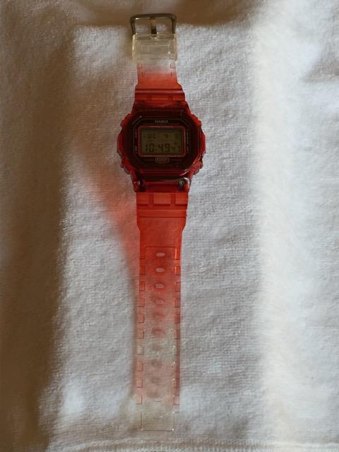 tFA[Y`[DW-5600VT  jANZT[/v 