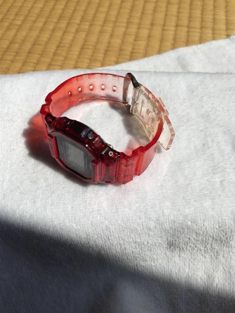 tFA[Y`[DW-5600VT  jANZT[/v 