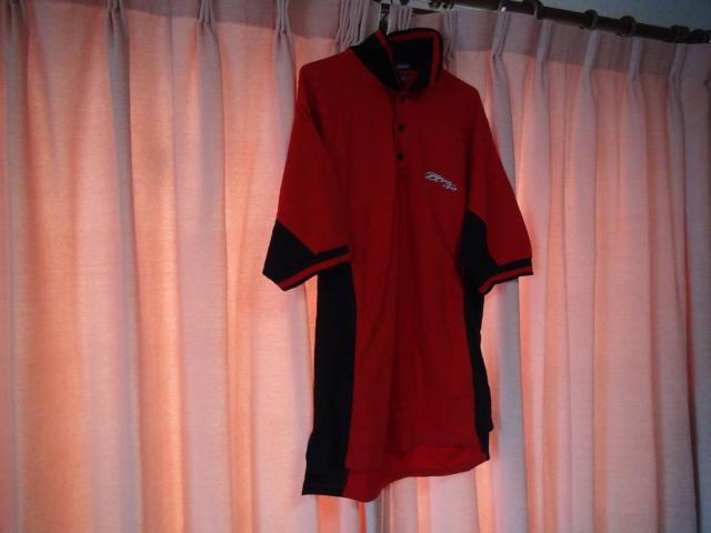 SWingster̐Ԃƍ̃|VciL)IB  jt@bV 