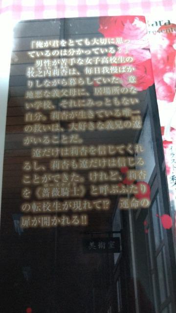 薔薇の乙女シリーズ B冊セット/花夜光 < 本/雑誌 薔薇の乙女シリーズ B冊セット/花夜光 < 本/雑誌の