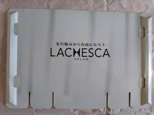 Rc@`FXJ̑c[@񔄕i@KOSE@R[Z[RX|[g  ^gObY 