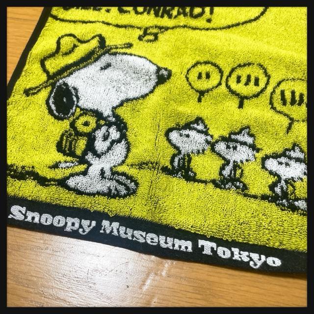 Xk[s[~[WA nh^I EbhXgbN ^I { SNOOPY PEANUTS s[ibc  Aj/R~bN/LN^[ 