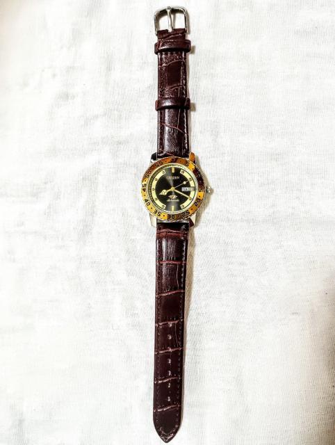 gpCITIZEN automatic @B24kgf x[[bNvxgU[YrvL