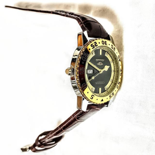 gpCITIZEN automatic @B24kgf x[[bNvxgU[YrvL