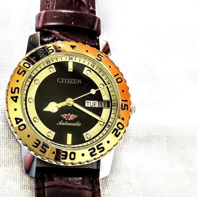 gpCITIZEN automatic @B24kgf x[[bNvxgU[YrvL