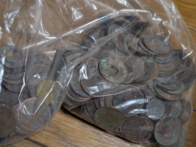 ]ˎォ珺a܂ł̓ݕPL  zr[ 