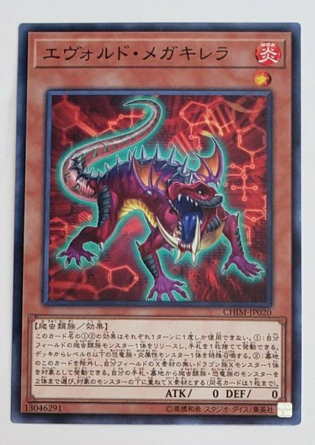 ���Õi�@�V�Y���f���G�������X�^�[�Y�@�G���H���h�E���K�L�����@���U  �� �g���[�f�B���O�J�[�h�� 