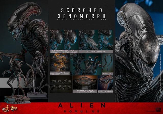 �z�b�g�g�C�Y MMS784 �G�C���A���F�������X �X�R�[�`�h�E�[�m���[�t1/6 Alien Romulus xenomorph  �� �z�r�[�� 