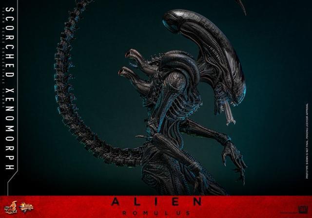 �z�b�g�g�C�Y MMS784 �G�C���A���F�������X �X�R�[�`�h�E�[�m���[�t1/6 Alien Romulus xenomorph �� �z�r�[�� 