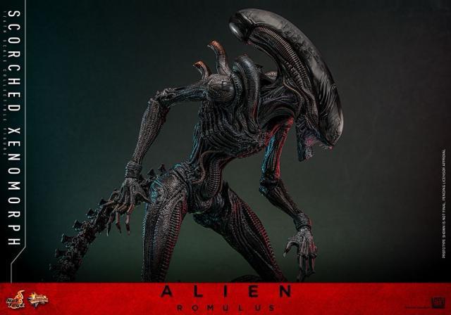 �z�b�g�g�C�Y MMS784 �G�C���A���F�������X �X�R�[�`�h�E�[�m���[�t1/6 Alien Romulus xenomorph �� �z�r�[�� 