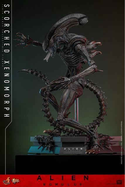 �z�b�g�g�C�Y MMS784 �G�C���A���F�������X �X�R�[�`�h�E�[�m���[�t1/6 Alien Romulus xenomorph �� �z�r�[�� 
