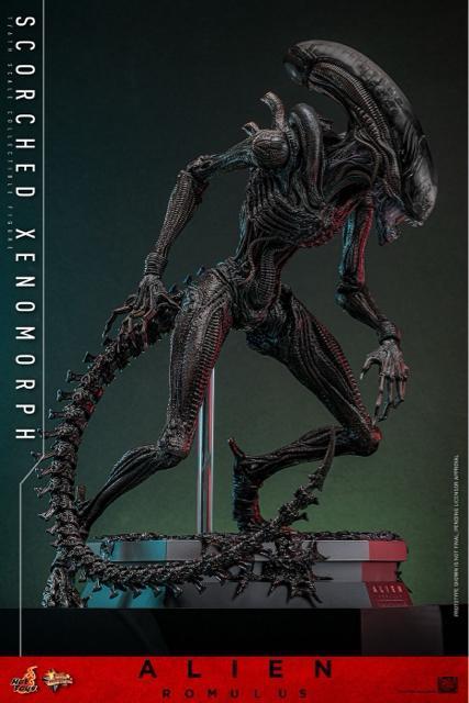 �z�b�g�g�C�Y MMS784 �G�C���A���F�������X �X�R�[�`�h�E�[�m���[�t1/6 Alien Romulus xenomorph �� �z�r�[�� 