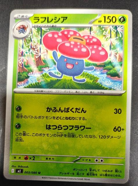 ���t���V�A�@�i��  �� �g���[�f�B���O�J�[�h�� 