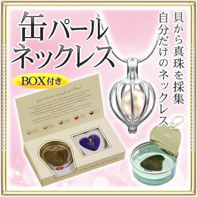 ネックレス 真珠の缶詰 自作キット 世界に一つの真珠アクセを作る 5〜8mm玉 ギフトBOX入り 雑貨 レディース < 女性アクセサリー/時計  ネックレス 真珠の缶詰 自作キット 世界に一つの真珠アクセを作る 5〜8mm玉 ギフトBOX入り 雑貨 レディース  < 女性アクセサリー/時計の
