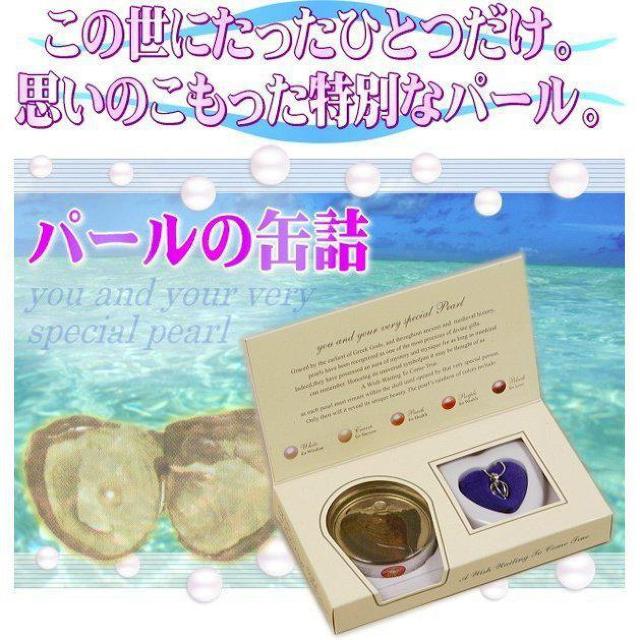 ネックレス 真珠の缶詰 自作キット 世界に一つの真珠アクセを作る 5〜8mm玉 ギフトBOX入り 雑貨 レディース < 女性アクセサリー/時計  ネックレス 真珠の缶詰 自作キット 世界に一つの真珠アクセを作る 5〜8mm玉 ギフトBOX入り 雑貨 レディース < 女性アクセサリー/時計の