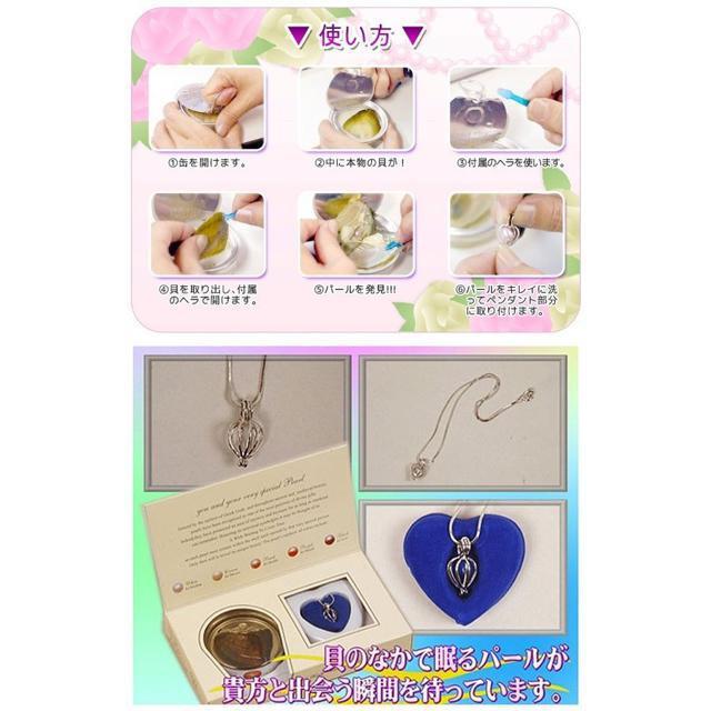 ネックレス 真珠の缶詰 自作キット 世界に一つの真珠アクセを作る 5〜8mm玉 ギフトBOX入り 雑貨 レディース < 女性アクセサリー/時計  ネックレス 真珠の缶詰 自作キット 世界に一つの真珠アクセを作る 5〜8mm玉 ギフトBOX入り 雑貨 レディース < 女性アクセサリー/時計の
