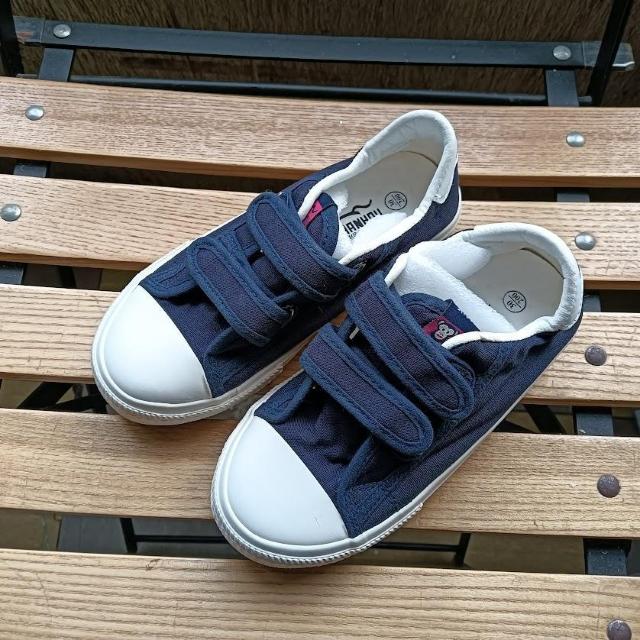 Vi 18.5cm Xj[J[ lCr[ qC LbY C V[Y   LbY/xr[ 