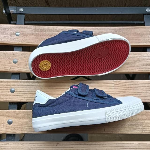 Vi 18.5cm Xj[J[ lCr[ qC LbY C V[Y  LbY/xr[ 