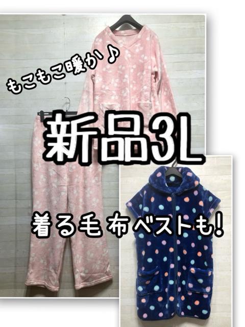 Vi3L[EGA㉺ѕz[xXgQ588   t@bV 