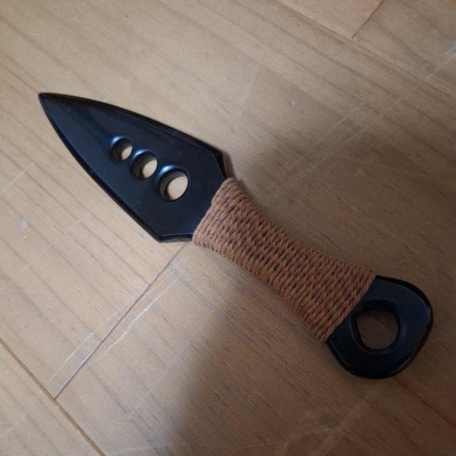 �V�R�΂̐Ί�@���j�΂̋ꖳ�^�C�v1�A2 �� �C���e���A/���C�t�� 