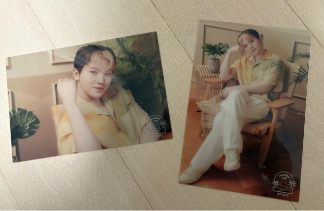 2022�����_���A�N�X�^�@�E�W SEVENTEEN CAFE �|�X�g�J�[�h�Z�b�g �� �^�����g�O�b�Y�� 