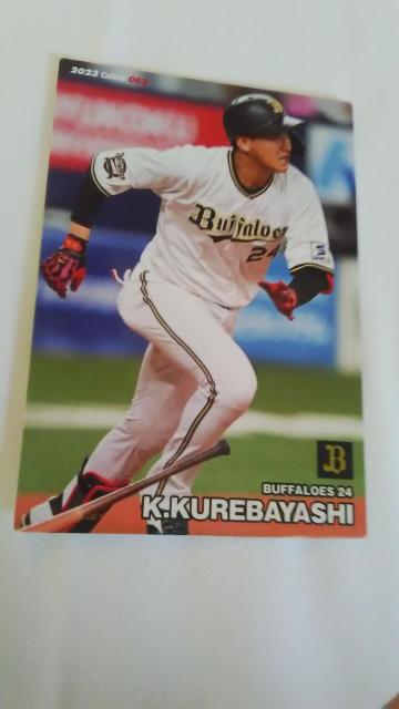 2023 Jr[J[h gэOY   g[fBOJ[h 