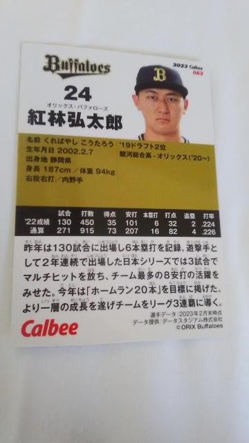 2023 Jr[J[h gэOY  g[fBOJ[h 